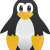 WPITCOM Linux Services